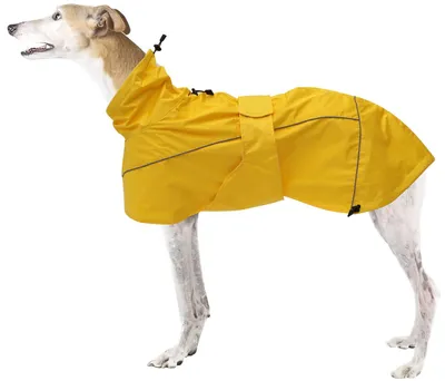Hunderegenjacke wasserdicht, Gelb, XS (46-48 cm), mit Fleece-Futter
