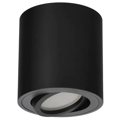 A black cylindrical ceiling light fixture with a gray trim and a visible light source.