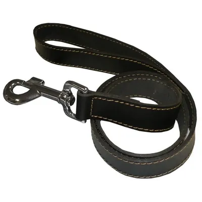 Image de YAGO Laisse en cuir noir, longue laisse de chien 1,20 m