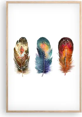Produktbild von Gerahmtes Poster - Rahmen in heller Eiche - Feder Vogel Farbe - 61x91,5 cm - Wand Bild - Wanddeko - Wandbilder - Kunstposter - Wandposter - Bilderrahmen - Bilder - Kunstdruck - P2NPA61x91-4927