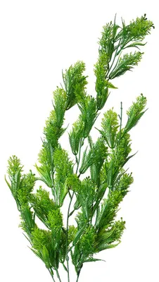 Produktbild von Clayre & Eef Kunstpflanze 75 cm Grün Kunststoff