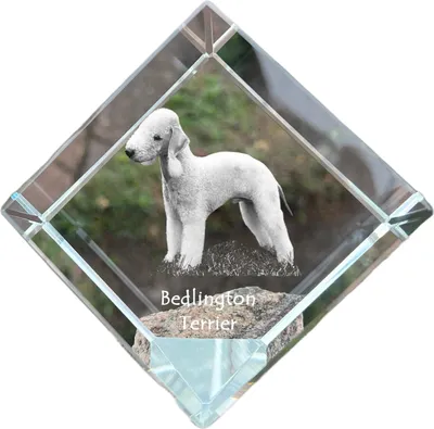 Produktbild von Bedlington Terrier, Rothbury Terrier - Kristallwürfel mit Bild, Pferdebild im Kristall, sechseckiger Papierclip der Marke Art-Dog