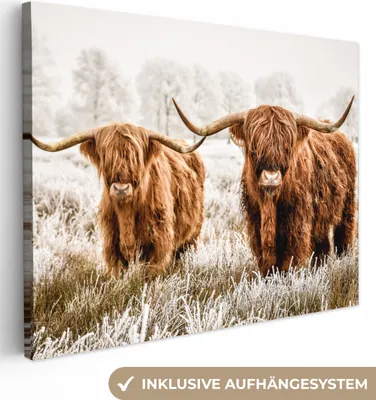 Zdjęcie produktu dla MuchoWow® - Obraz na płótnie - Szkocki góral - Krowa - Natura - Zima, fototapeta, dekoracja ścienna, obrazy do salonu, 40x30cm
