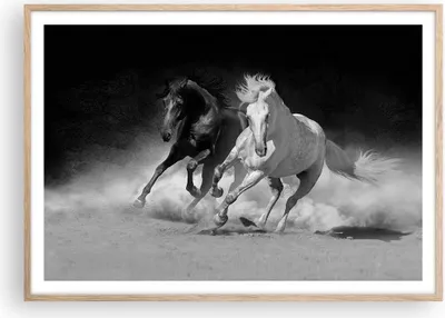 Produktbild von Gerahmtes Poster - Rahmen in heller Eiche - Andalusier Pferde Galopp - 100x70 cm - Wand Bild - Wanddeko - Wandbilder - Wandposter - Bilderrahmen - Bilder - Kunstdruck - Wandbild - P2NAA100x70-4240