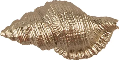 Obrázok produktu pre Clayre & Eef Kľučka na dvere 8x4x5 cm Polyresin zlatej farby