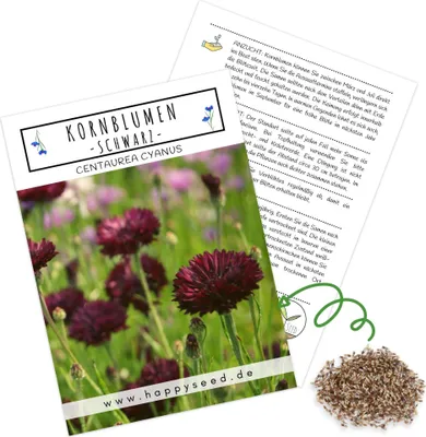 Immagine prodotto di Semi di fiordaliso (Centaurea cyanus) - Splendidi fiori dai colori vivaci con una lunga fioritura, ideali per un prato fiorito e colorato (confezione nera, 1000 semi, 80 cm)