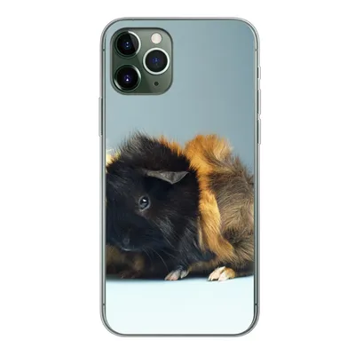 Produktbild von MuchoWow® Handyhülle Schutzhülle Hülle für iPhone 11 Pro Zwei kleine Meerschweinchen Silikon Softcase Handy Hülle - Handy