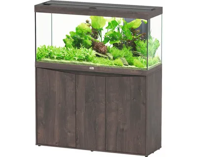 Produktbild von Aquariumkombination aquatlantis Splendid 240 inkl. LED-Beleuchtung, Filter, Unterschrank Wildeiche dunkel