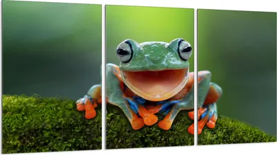 Produktbild von Glasschutzplatte für Herd 3x30x52