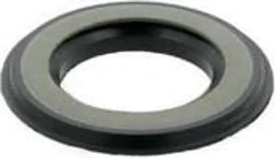 Produktbild von Gehäusedichtung TSN522 A ID 100mm AD 160,5mm B.5,8mm SKF