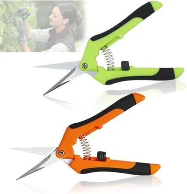 Professionelle Gartenschere - Gartenaccessoire - Schneidklingen - Grün - Pflanzen schneiden - Geeignet für Gartenarbeit