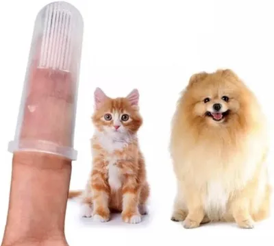 Produktbild von CHPN – Zahnbürste für Hunde & Katzen – Hundezahnbürste – Katzenzahnbürste – Universalzahnbürste – Fingerzahnbürste – Perfekt für Haustiere