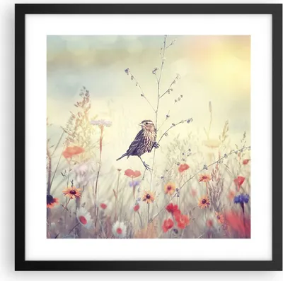 Produktbild von Gerahmtes Poster - Schwarzer Rahmen - Vogel Wildschwein Wiese - 40x40 cm - Wand Bild - Wanddeko - Wandbilder - Wandposter - Bilderrahmen - Bilder - Kunstdruck - Wandbild - P2BAC40x40-4279