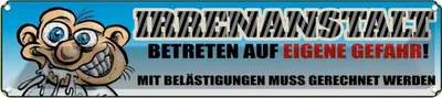Produktbild von vianmo Blechschild 10x46 cm Irrenanstalt eigene Gefahr Spruch Zitat