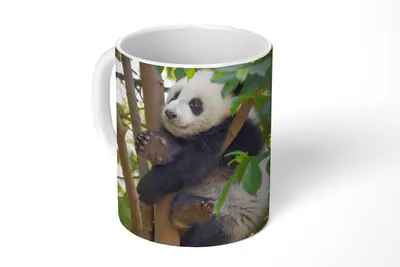 Obrázek produktu pro KitchenYeah® Hrnek na kávu Hrnek na kávu 350 ml Panda - Zvíře - Strom - Hrnek - Keramický hrnek - Hrnek na čaj - Hrnek na kávu - Kancelářský hrnek