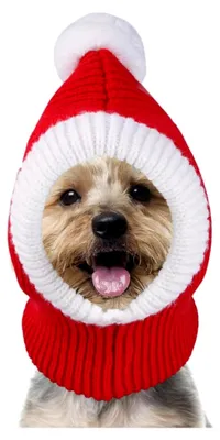 Produktbild von Weihnachtsmützen für Hunde, Dicke Gestrickte Wintermütze mit Bommel in Rot und Grün, Elastischer Bündchen Nikolausmütze für Hunde und Katzen