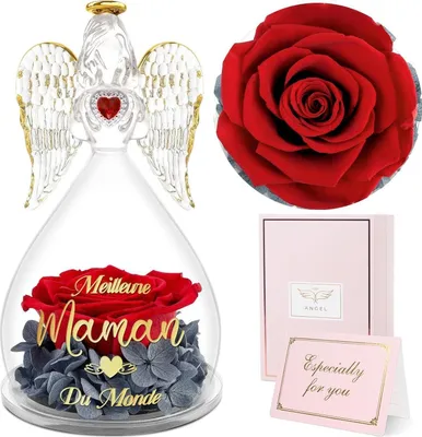 Image de Sunia Meilleur ami Cadeau Monde Ange Rose éternelle Dôme en verre Anniversaire