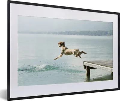 Produktbild von MuchoWow® MuchoWow® Gerahmtes Poster Komischer Hund, der ins Wasser springt 60x40 cm - Poster mit zchwarzem Bilderrahmen - Schlafzimmer - Plakat in Rahmen - Drucken