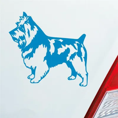 Produktbild von Auto Aufkleber Terrier Tier Hund Dog Animal 11x10 cm Hellblau Sticker Heckscheibenaufkleber