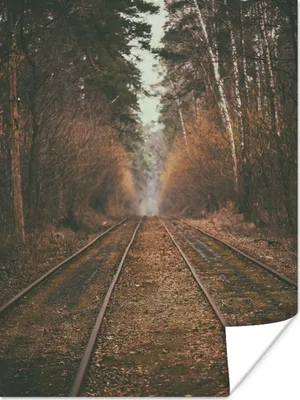Produktbild von MuchoWow® Poster Bahnstrecke - Weg - Wald - Baum 90x120 cm - Wohnzimmer