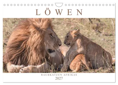 Produktbild von Löwen - Raubkatzen Afrikas (Wandkalender 2027 DIN A4 quer), CALVENDO Monatskalender