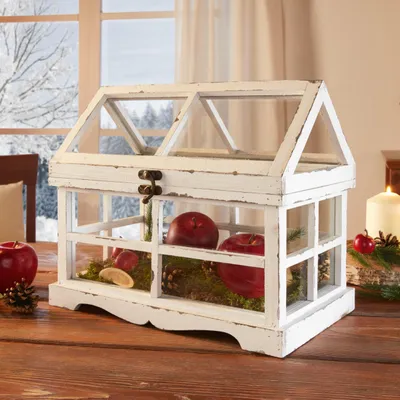 Produktbild von Mini-Gewächshaus Shabby 37x21x31cm – Terrarium