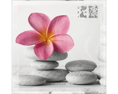 Produktbild von Glasbild Wellness Flowery II 20x20 cm