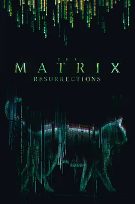Produktbild von Poster The Matrix Cat 61x91.5cm