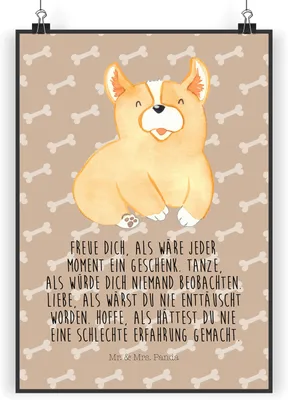 Produktbild von Mr. & Mrs. Panda Bild Corgie DIN A4 - Hundeglück - Geschenk, drucke, Hund, Wandbild, Kunstdruck, Lebensfroh, Optimistisch, wanddeko, Vierbeiner, Sprüche, Plakat