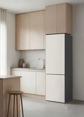 Produktbild von FRIDGE STUDIO COMBI 231 - 231L No Frost Kombi-Kühlschrank