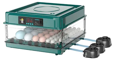 Immagine prodotto di Incubatrici per uova, rotazione automatica delle uova, controllo della temperatura, capacità per 48 uova