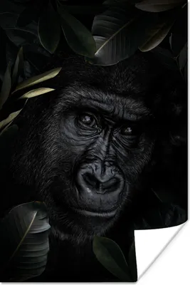 Produktbild von MuchoWow® Poster Gorilla - Pflanzen - Dschungel 60x90 cm - Wanddekoration