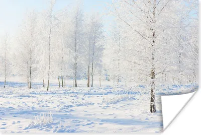 Produktbild von MuchoWow® Poster Schnee - Bäume - Winter 60x40 cm - Schlafzimmerdekoration