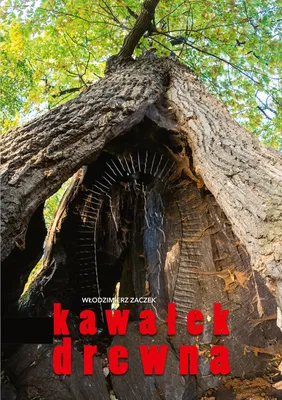 Zdjęcie produktu dla Kawałek drewna