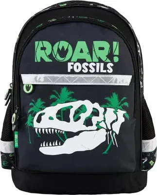 Produktbild von Paso Dinosaurier Schulrucksack Tornister für Jungen 1-3 Klasse