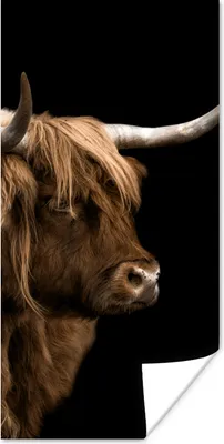 Produktbild von MuchoWow® Poster Schottischer Highlander - Kuh - Schwarz 60x120 cm - Wandschmuck