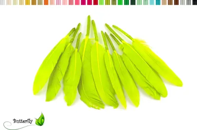 Produktbild von 10 Entenfedern ca. 10-15cm, Farbauswahl:maigrün 550 / lindgrün / hellgrün