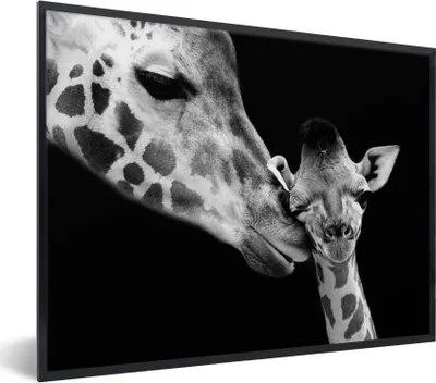Produktbild von MuchoWow® Gerahmtes Poster Tiere - Schwarz - Weiß - Giraffe - Porträt 40x30 cm - Poster mit Schwarzem Bilderrahmen Wandposter Rahmen Foto Bilder - Kunstposter - Wanddekorationen