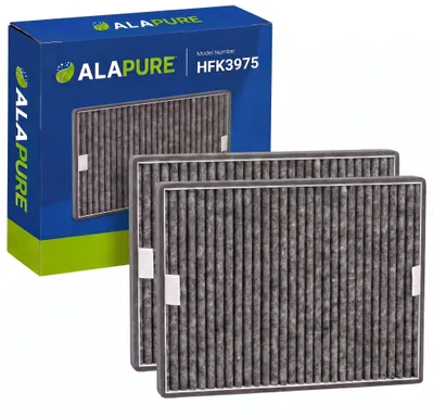 Image de Alapure HFK3975 Compatible avec les filtres à charbon DKF19-P / FWKM-1423 (2 pièces)