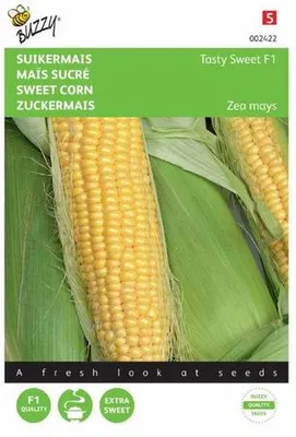 Productafbeelding van Seeds suikermais glacial 20 zaden Buzzy