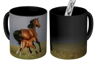 Obrázek produktu pro MuchoWow® Kouzelný pohár Zvířata - Koně - Hříbata 350 ml Barva měnící se pohár Dárkový nápad - foto hrnek