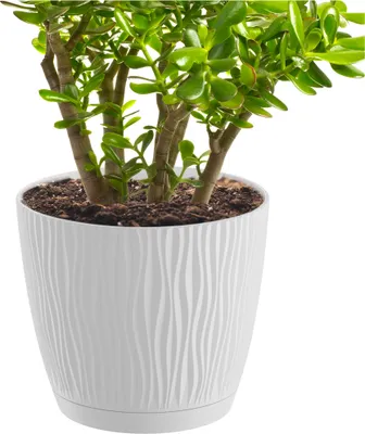 Obrázek produktu pro Květináč S Miskou Obal Na Květník S Podstavcem Sandy P, 23,9 Cm - Bílý