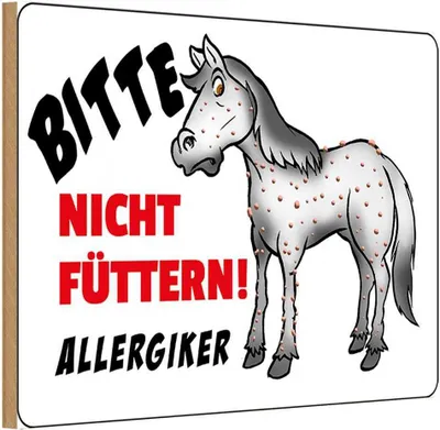 Produktbild von vianmo Holzschild 20x30 cm Bitte nicht füttern Pferd Warnschild Hinweisschild