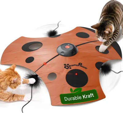 Interaktives Katzenspielzeug, Feder, 3 Modi, Marienkäfer, USB