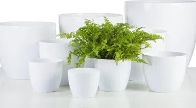 Produktbild von SCHEURICH Übertopf Alaska 920/13cm