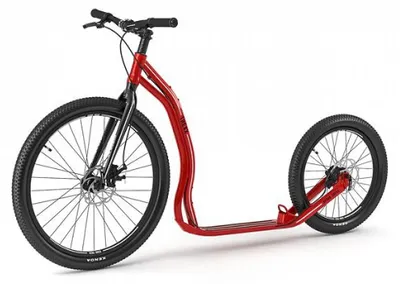 Immagine prodotto di Yedoo Monopattino Trexx Disc Red