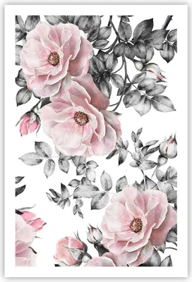 Produktbild von Poster - Poster ohne Rahmen - Blumen Blätter Pflanze Rose - 61x91,5 cm - Wand Bild - Wanddeko - Wandbilder - Kunstposter - Wandposter - Bilder - Kunstdruck - Wanddekoration - Wandbild P2XPA61x91-2952