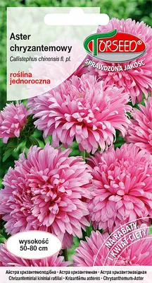 Produktbild von Samen von Aster hohe Chrysantheme rosa 0.5g - Torseed