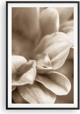 Produktbild von Gerahmtes Poster - Schwarzer Rahmen - Blumen Boho ohne - 61x91,5 cm - Wand Bild - Wanddeko - Wandbilder - Kunstposter - Wandposter - Bilderrahmen - Bilder - Kunstdruck Wanddekoration - P2BPA61x91-4767