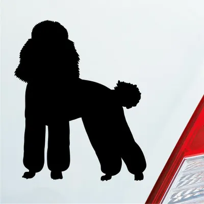 Produktbild von Auto Aufkleber süsser Pudel Hund Dog Tier niedlich Puppy 8x10 cm Schwarz Glanz Sticker Heckscheibenaufkleber
